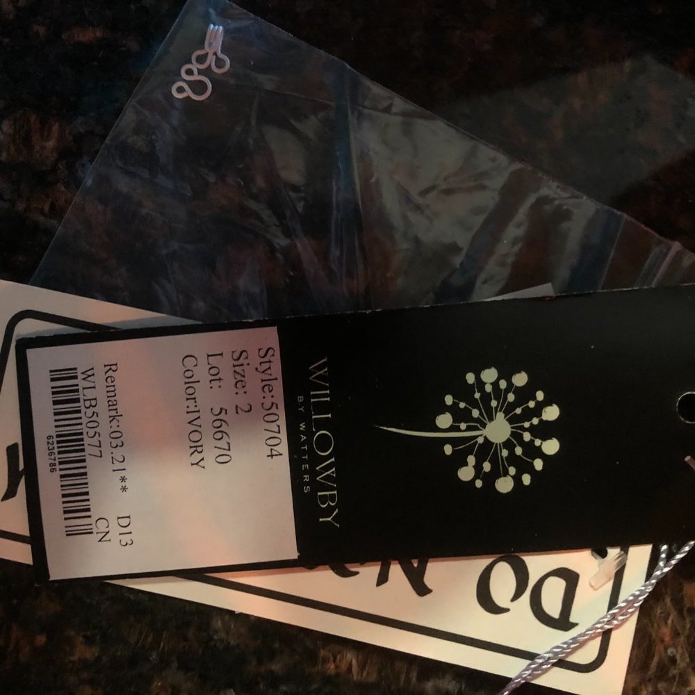 Willowby Galatea Wedding Gown (Ivory) - Picture 6 of 6